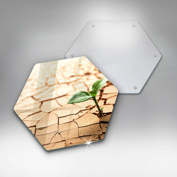 Skleněná deska do kuchyně Osamělá rostlina