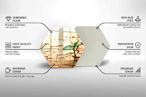 Skleněná deska do kuchyně Osamělá rostlina