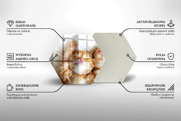 Skleněná deska do kuchyně Malé roztomilé kotě