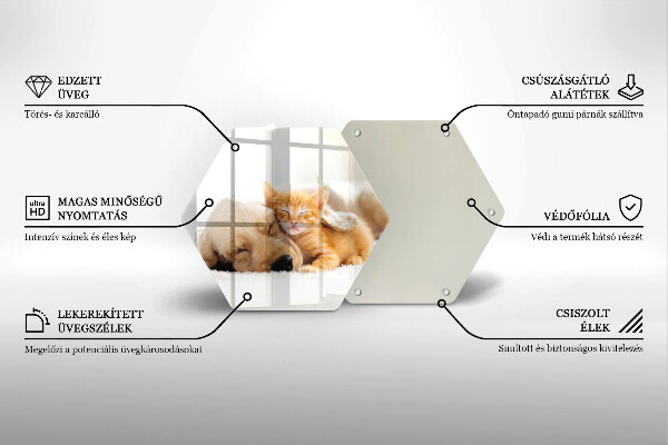 Skleněná krájecí deska Zvířata pes a kočka