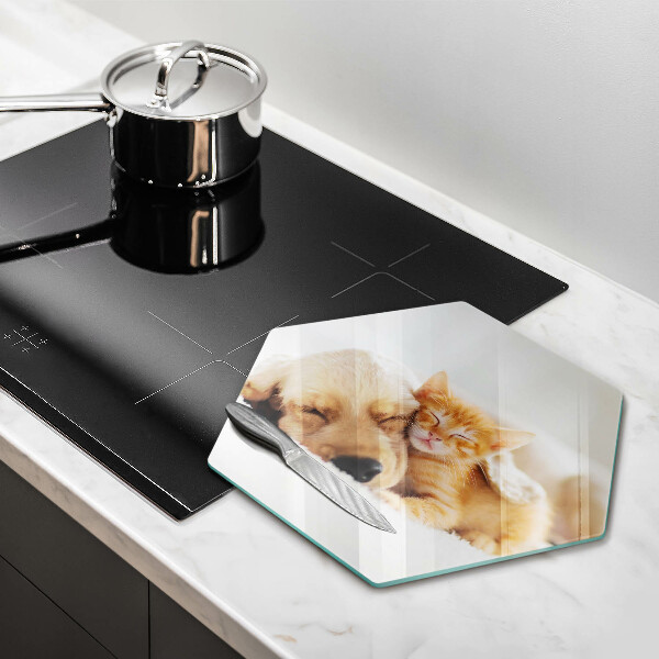 Skleněná krájecí deska Zvířata pes a kočka