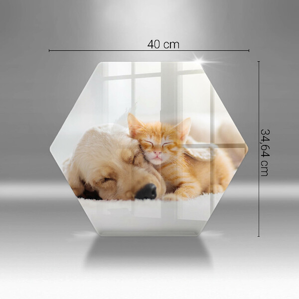 Skleněná krájecí deska Zvířata pes a kočka