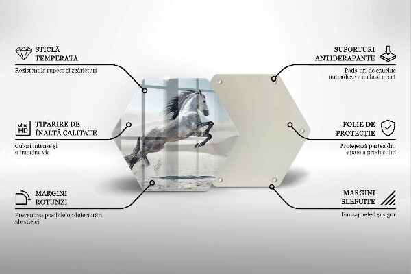 Skleněná deska do kuchyně Oře z bílého koně