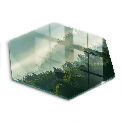 Skleněná deska do kuchyně Krajina pohled na les