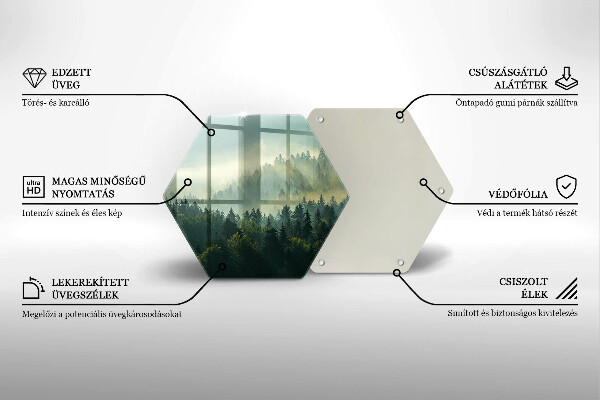 Skleněná deska do kuchyně Krajina pohled na les