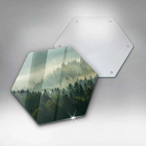 Skleněná deska do kuchyně Krajina pohled na les