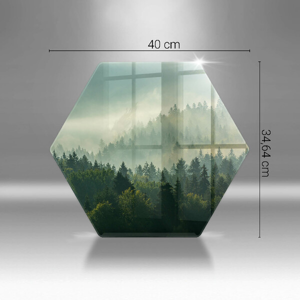 Skleněná deska do kuchyně Krajina pohled na les