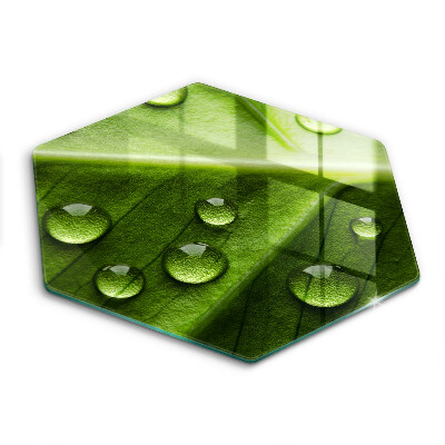 Skleněná deska do kuchyně Příroda rosa a list