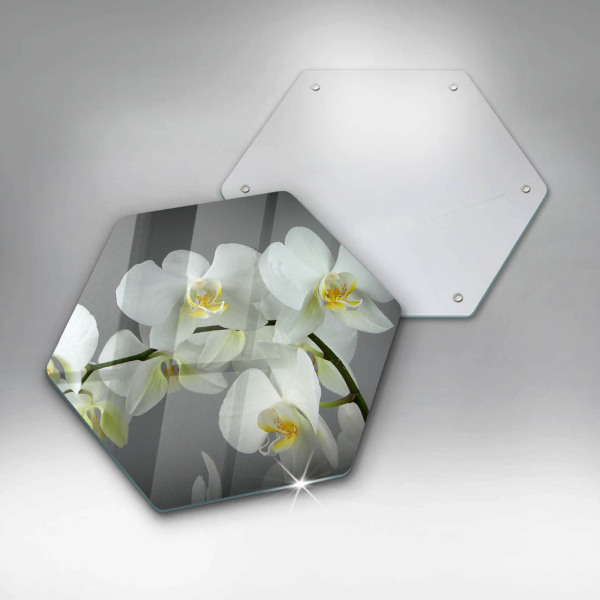 Skleněná deska do kuchyně Bílé květy orchidejí