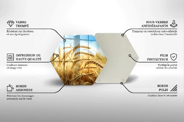 Skleněná deska do kuchyně Klasy obilovin na poli