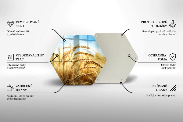 Skleněná deska do kuchyně Klasy obilovin na poli