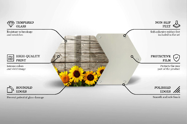 Skleněná deska do kuchyně Slunečnice na prknech