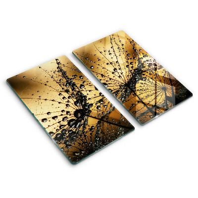 Skleněná deska za sporák Rosa a pampelišky