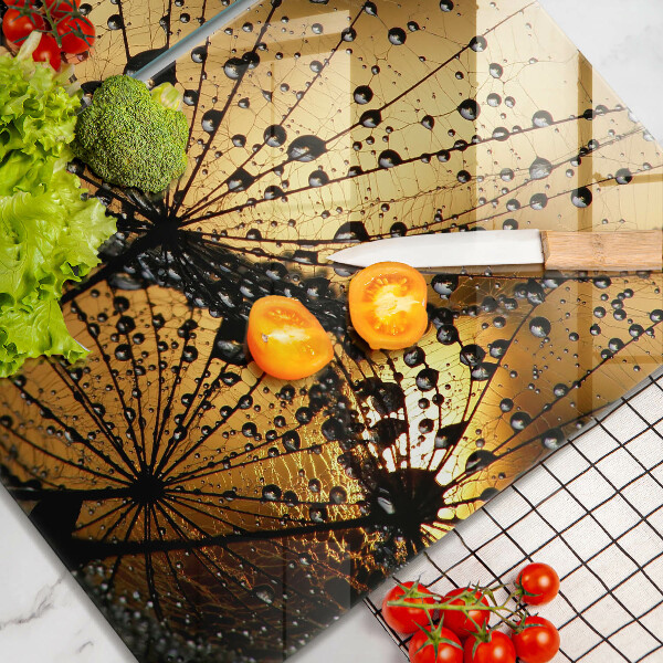 Skleněná deska za sporák Rosa a pampelišky