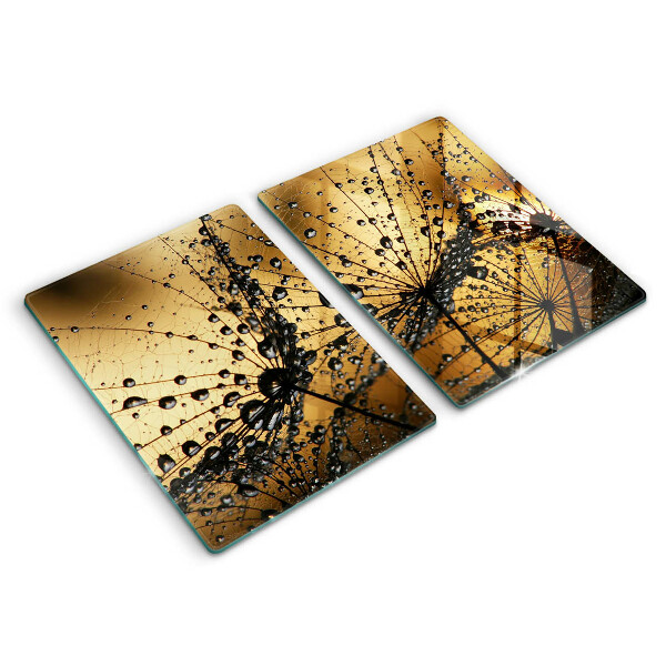 Skleněná deska za sporák Rosa a pampelišky