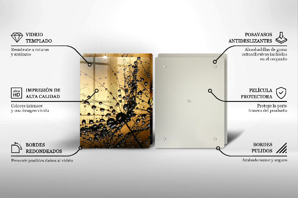 Skleněná deska za sporák Rosa a pampelišky