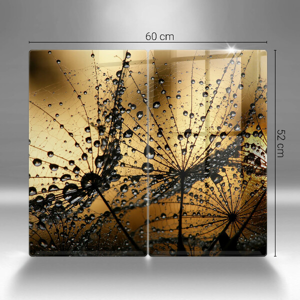 Skleněná deska za sporák Rosa a pampelišky