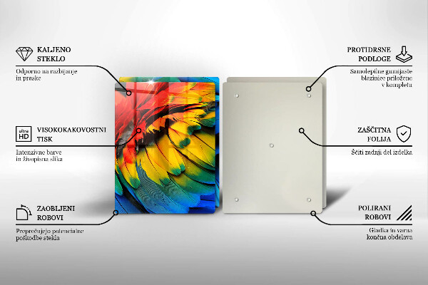 Sklo za varnou desku Barevné papouščí peří