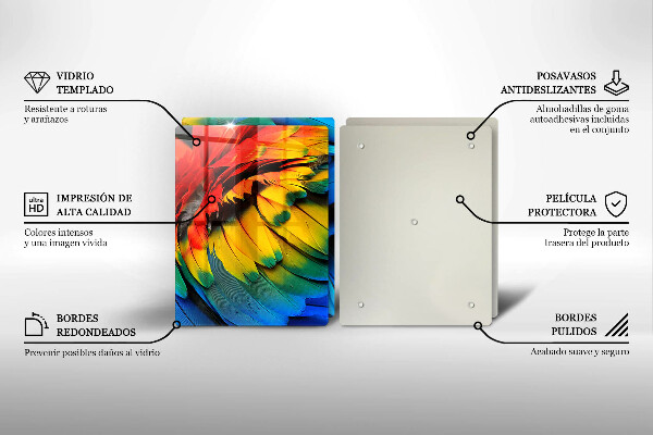 Sklo za varnou desku Barevné papouščí peří