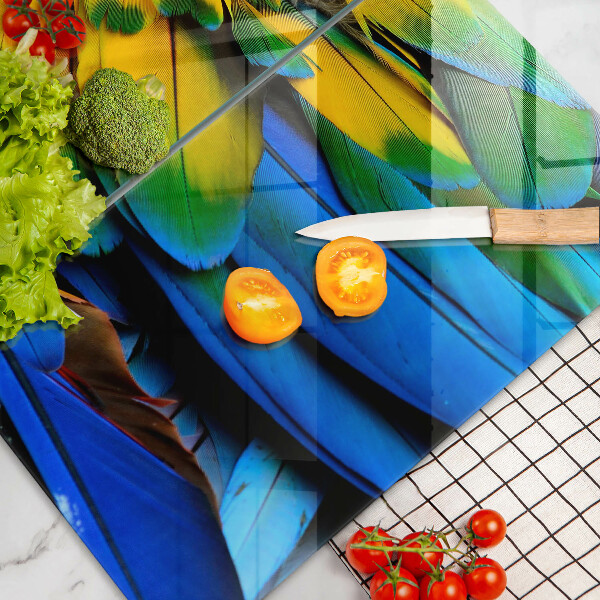 Sklo za varnou desku Barevné papouščí peří