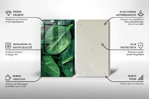 Skleněná deska za sporák Listy bazalky