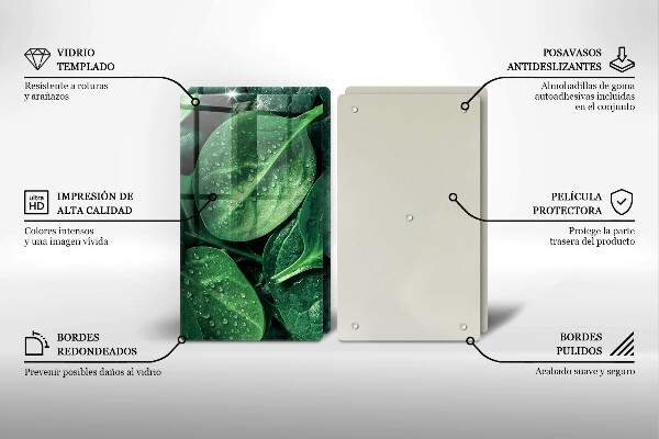 Skleněná deska za sporák Listy bazalky