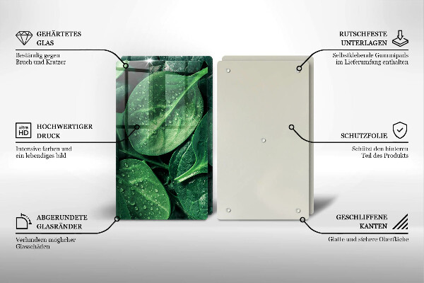 Skleněná deska za sporák Listy bazalky