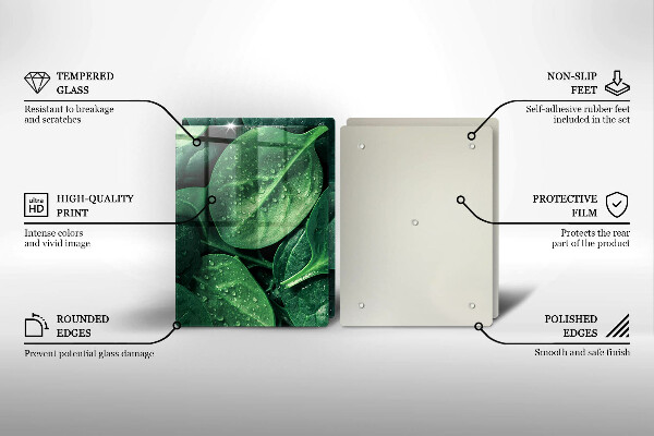 Skleněná deska za sporák Listy bazalky