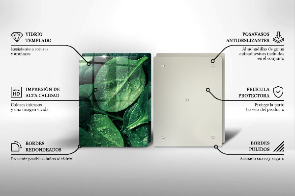 Skleněná deska za sporák Listy bazalky