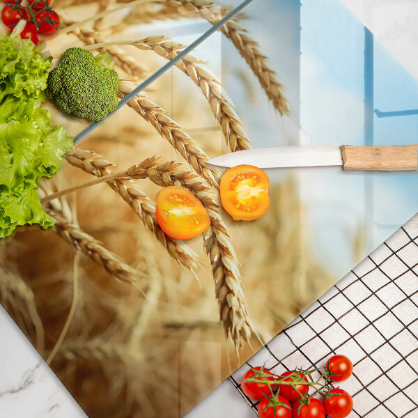 Sklo za varnou desku Klasy obilovin na poli