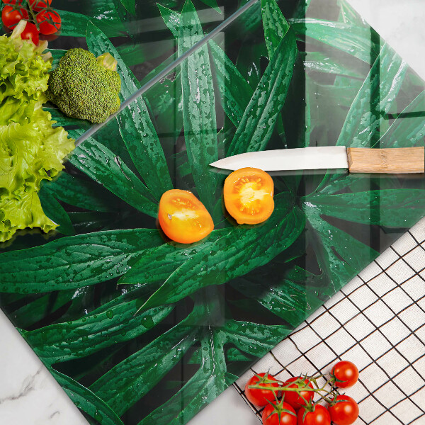 Deska za sporák Listy rostlin