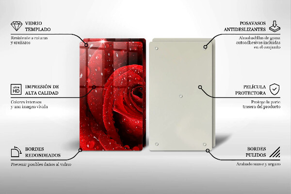 Skleněná deska za sporák Okvětní lístky růže