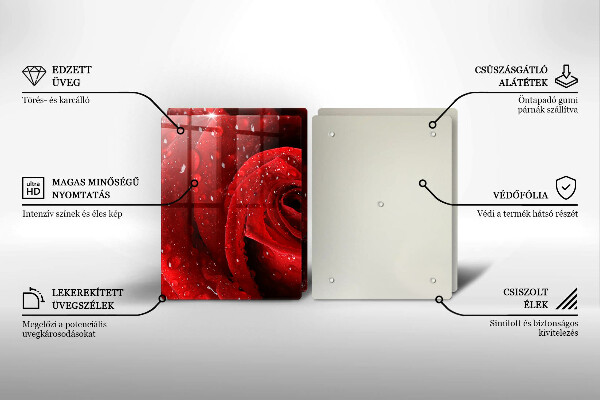 Skleněná deska za sporák Okvětní lístky růže