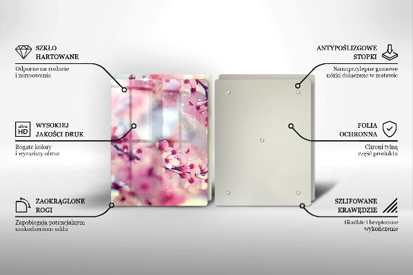 Skleněná deska za sporák Příroda jabloňové květy