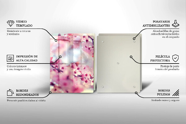 Skleněná deska za sporák Příroda jabloňové květy