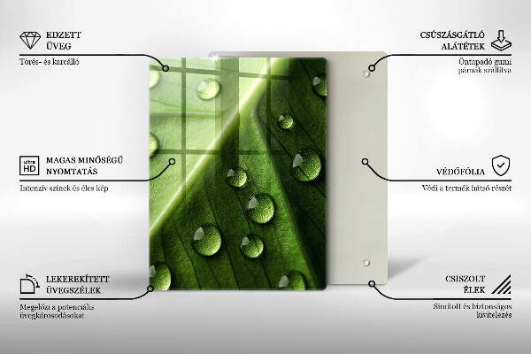 Sklo za sporák Příroda rosa a list