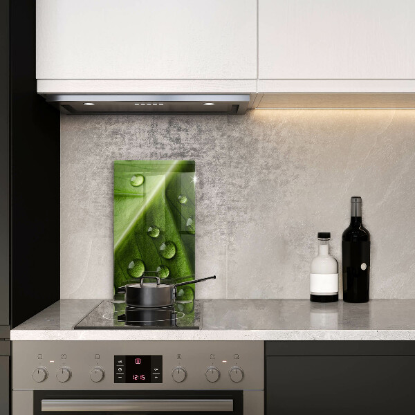 Sklo za sporák Příroda rosa a list