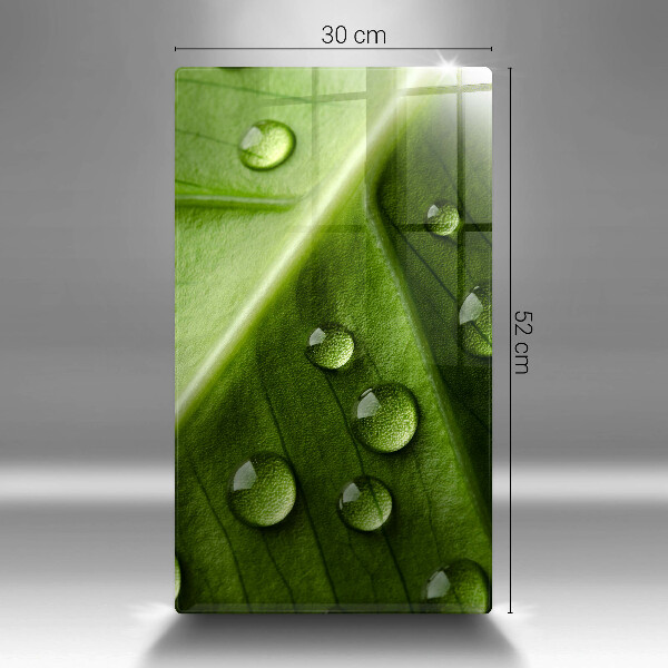 Sklo za sporák Příroda rosa a list