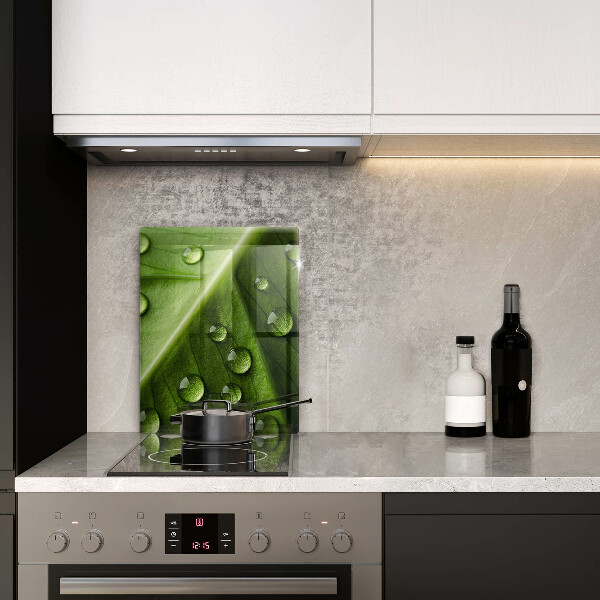 Sklo za sporák Příroda rosa a list