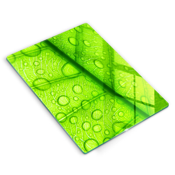 Kryt na varnou desku Detailní záběr na list