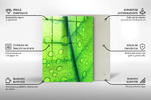 Kryt na varnou desku Detailní záběr na list