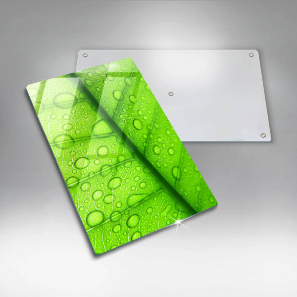 Kryt na varnou desku Detailní záběr na list