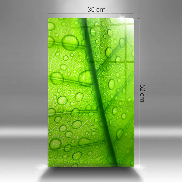 Kryt na varnou desku Detailní záběr na list