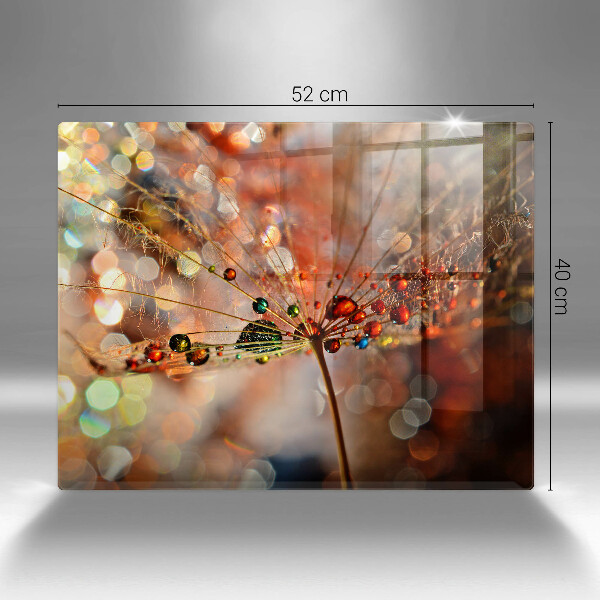 Kryt na varnou desku Mokrá pampeliška