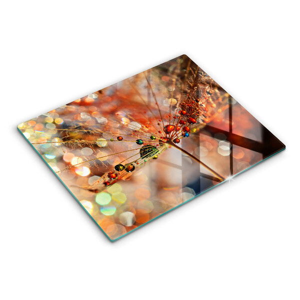 Kryt na varnou desku Mokrá pampeliška