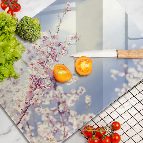 Sklo za sporák Kvetoucí strom