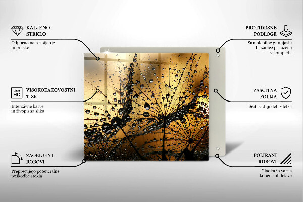 Sklo za varnou desku Rosa a pampelišky