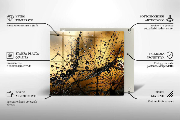 Sklo za varnou desku Rosa a pampelišky