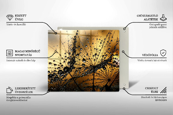 Sklo za varnou desku Rosa a pampelišky