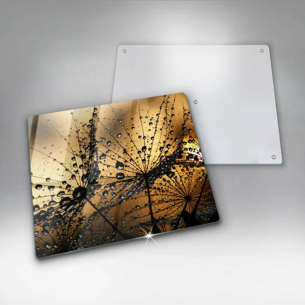 Sklo za varnou desku Rosa a pampelišky